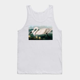 Bird of America  Bird, bird lover, america, beautiful  Public domain painting by John James Audubon Tank Top